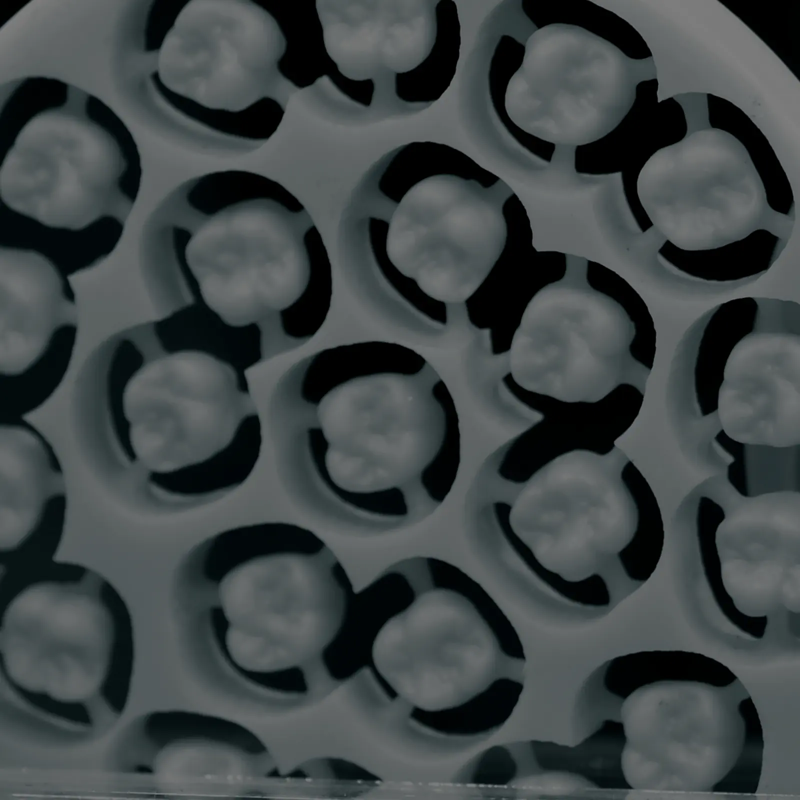 Zirconia discs pre-milled with rows of crown copings, stacked in a dental laboratory